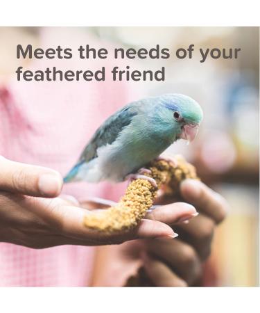 BEAPHAR XTRAVITAL Premium Food for Parrots Contains Fruits Seeds and Egg Pate Strengthens the System - Buy Online on GoSupps.com