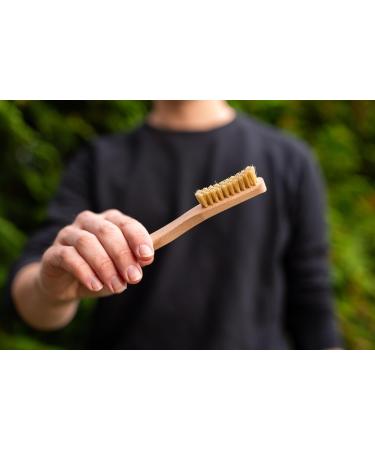 Chinchilla Boulder Brush - Ergonomic Climbing Handle Cleaning Brush for Optimal Grip & Safety | Essential Tool for Bouldering & Sports - Buy Online on GoSupps.com