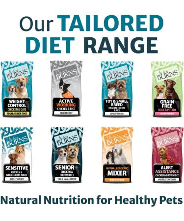 Burns Pet Nutrition Hypoallergenic Complete Dry Dog Food Adult and Senior Dog Weight Control Chicken and Oats 2 kg(Packaging may vary) 2 kg (Pack of 1) - Buy Online on GoSupps.com