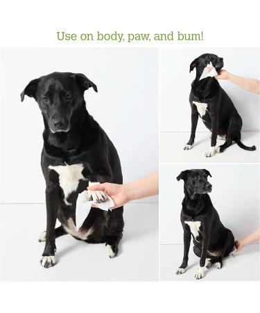 Earth Rated Unscented Dog Wipes - 100 Biodegradable Wipes for Clean Paws & Coats - Buy Online on GoSupps.com