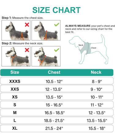 Joyal Dog Harness for Small Dogs - Reflective Soft Padded Air-Mesh Breast Plate | Turquoise Size S (38-42cm) - Buy Online on GoSupps.com
