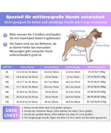 Ranypet One-Divider Pajamas for Large & Medium Dogs | Surgical Recovery Suit Wound Protection & Relaxation Wear - Buy Online on GoSupps.com