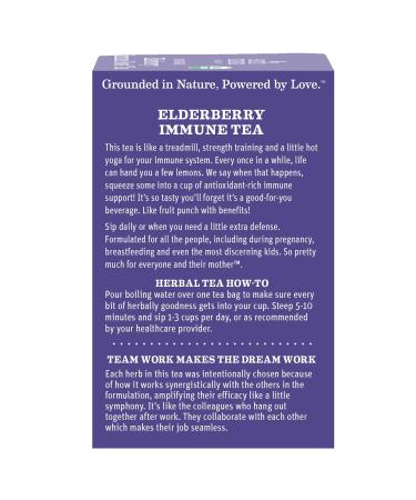 Earth Mama Organic Elderberry Immune Tea with Echinacea - Pregnancy & Family Safe | Decaf Tea with Ginger & Rooibos - 16-Count - Buy Online on GoSupps.com