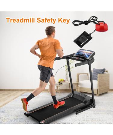 Treadmill Magnet Safety Key for NordicTrack, Proform, Weslo, Reebok & More | Replacement Safety Key for Treadmills - Buy Online on GoSupps.com