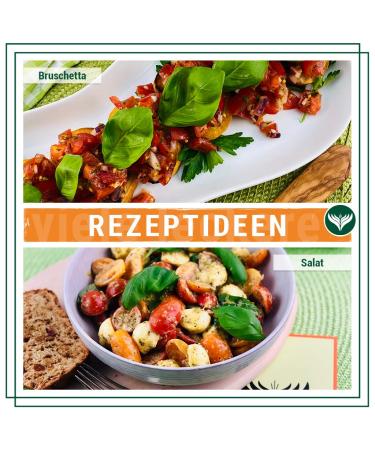 Azafran Bruschetta Spice Mix 1kg | Premium Dried Herbs for Authentic Italian Flavor | International Shipping Available - Buy Online on GoSupps.com