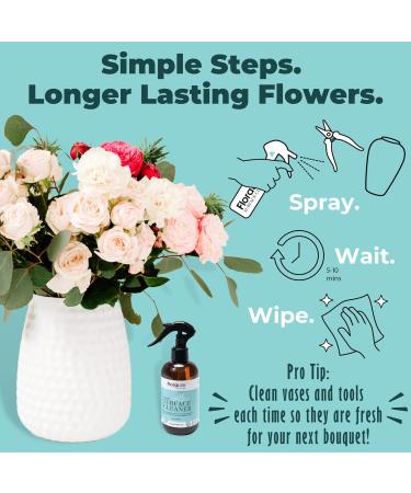 Floralife Surface Cleaner - Gentle Multi-Surface Spray for Flower Vases & Tools - 8oz | Eco-Friendly Cleaning Solution - Buy Online on GoSupps.com