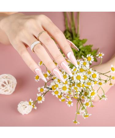 Shop White Gel Nail Polish 8ml - UV Gel Liner for Easy DIY Nail Art | Perfect Sheer Base Colors for Women - Buy Online on GoSupps.com