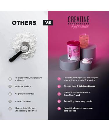 BIRDMAN Creatine Refresher | Creatine Monohydrate Powder with Electrolytes Magnesium Glycinate & Vitamins | Creaclean Seal | Sugar Free Low Calorie | Strawberry Lemonade | 30 Servings Strawberry Lemonade 10.5 Ounce (Pack  - Buy Online on GoSupps.com