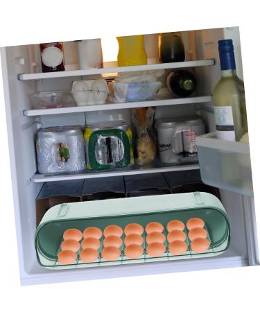 GLEAVI 1 Pc Slide Egg Collection Egg Stacker for Refrigerator Double Layer Food Container Protective Box Green 28.5X15CM - Buy Online on GoSupps.com