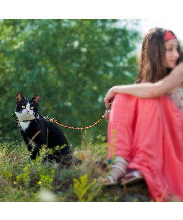 Ranypet 15m Reflecting Long Line for Cats & Small Animals - Safe Durable Leash in Orange for Kittens Puppies & Rabbits - Buy Online on GoSupps.com