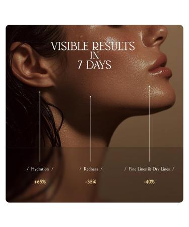 Decoder Multi-Phase Anti-Aging Repair Facial Serum with Hyaluronic Acid, 10% Squalane & Botanical Oils | 80% Hydrating water + 20% Nourishing Oil for Calming, Plumping & Renewing Skin(1 Oz) - Buy Online on GoSupps.com