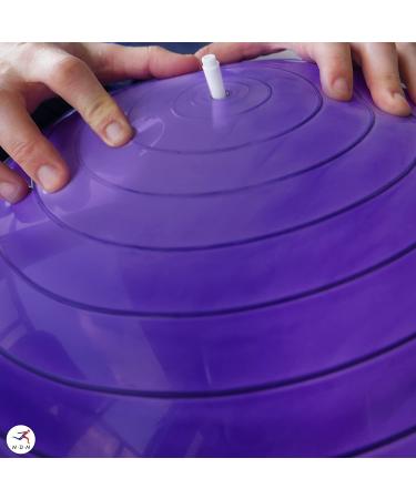 Fitness Exercise Yoga Ball Air Stopper Replacement Kit - Valve Pin Adapter Included - Buy Online on GoSupps.com