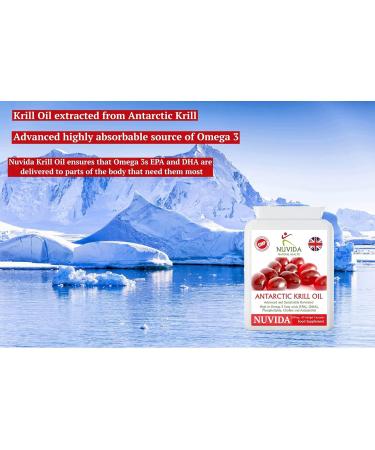 High Strength Krill Oil Capsules 500mg - 60 Count - 1000mg per Serving - Omega-3 Fatty Acids - Easy Swallow Soft Gels - Sustainably Sourced - Buy Online on GoSupps.com