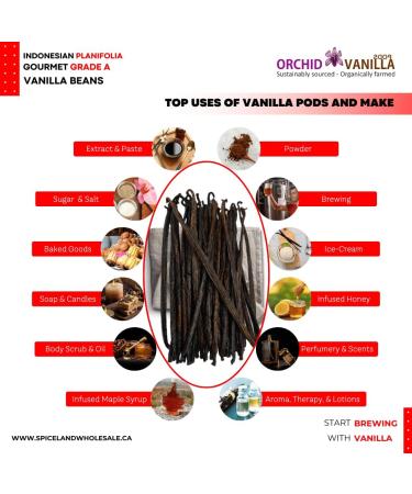 Indonesian Extract Grade-B Vanilla Beans For Extract Making By Count (25 Beans (Pack of 1)) - Buy Online on GoSupps.com