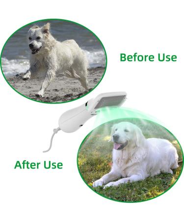 LIVEKEY 2-in-1 Pet Hair Dryer & Slicker Brush | Adjustable 2 Temperatures | For Small & Medium Dogs/Cats - Buy Online on GoSupps.com