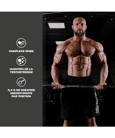 Scitec Nutrition Anabolic Iso+Hydro - Whey Protein Blend - With Creatine Maca & Amino Acids - ZMB6 Complex for Testosterone Maintenance 2350g Cookies & Cream - Buy Online on GoSupps.com