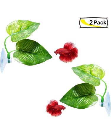 Cousduobe Betta Fish Leaf Pad - 2 Pack, Double Leaf Design for Natural Habitat Simulation and Improved Health - Buy Online on GoSupps.com