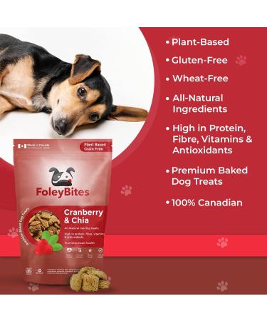 Foley Bites Cranberry & Chia (4-Pack) Premium Baked Dog Treats Made in Canada All- Natural Ingredients Plant Based Grain Free Human Grade Vegan Dog & Puppy Training Treats 400g / 14.1oz Foley Bites Cranberry & Chia 400 g (Pack of 4) - Buy Online on GoSupps.com