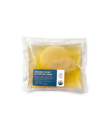 Organic SCOBY Kombucha Starter Kit with Live Culture for Brewing Kombucha Tea - Urban Kitchen 8 Ounce (Pack of 1)