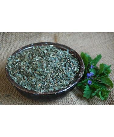 Krauterino24 - Ground ivy herb cut quantity: 1000g