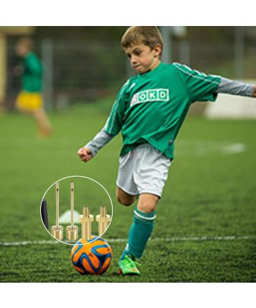 16 Piece Professional Bicycle Valve Adapter Set | French Valve & All Valve Compatibility | Includes Sorting Box - Buy Online on GoSupps.com