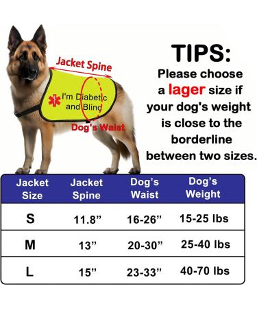 Funny Nervous Dog Jacket Vest Nervous of Dogs But Loves People Dog Slogan Vest Friendly Dog Gift (Diabetic and Blind-Large) - Buy Online on GoSupps.com