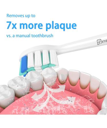 Senyum Replacement Brush Heads for Philips Sonicare - 8 Pack Compatible Toothbrush Heads (Blue) - Optimal Cleaning & Value - Buy Online on GoSupps.com