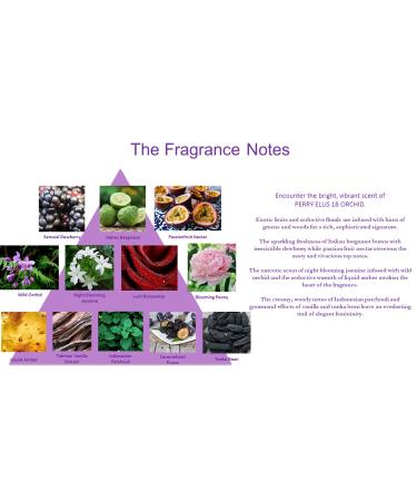 Perry Ellis Fragrances Perry ellis 18 orchid for women - 4-piece gift set 3.4 Fl Ounce 13.4 Fl Oz (Pack of 1) - Buy Online on GoSupps.com