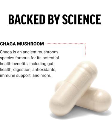 Force Factor Chaga Mushrooms Capsules Mushroom Supplement to Support Gut Health and Digestion Made from Real Mushrooms Vegan Non-GMO 120 Capsules - Buy Online on GoSupps.com