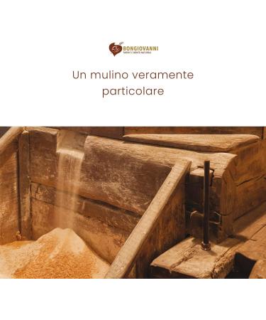 BONGIOVANNI FLOURS AND NATURAL GOODNESS Arina di Noci Lara d shuil (31% proteins) 400g 0.40 kg - Buy Online on GoSupps.com