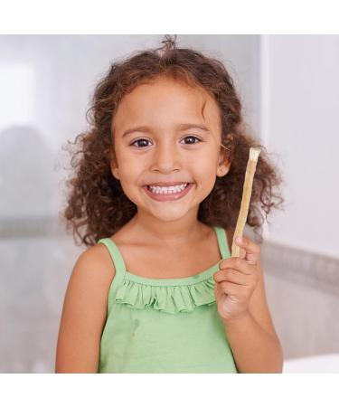 Dranng Stick | Natural Tooth Cleaning Toothbrushes for Humans Effective Traditional Stick from Middle East for Tooth Stain Removal Fresher Breath Healthy Teeth 1 Pcs - Buy Online on GoSupps.com