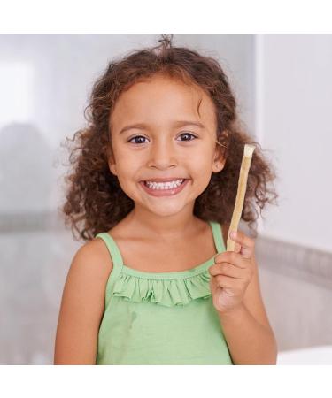 Rolempon Natural Toothbrush | Effective Traditional Natural Tooth Cleaning | Remove Tooth Stains & Promote Healthy Gums - Buy Online on GoSupps.com