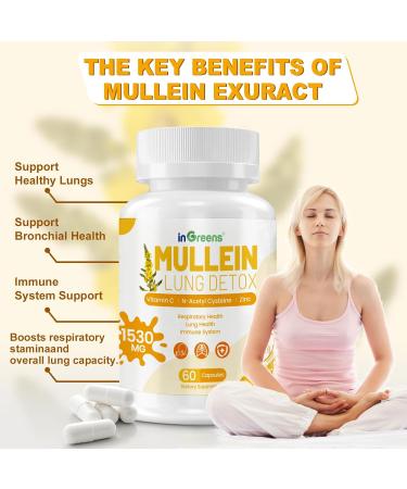 Mullein Leaf Extract 1530 Mg, 15-in-1 Herbal Supplements,Mullein Leaf Extract for Lungs,Bottled in USA - 60 Capsules 60 Count (Pack of 1) - Buy Online on GoSupps.com