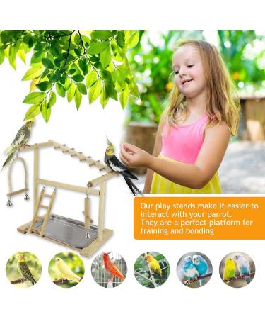Holzsammlung Bird Playground Wooden Parrot Stand Bird Play Stand Parrot Perch Stand with Ladder Bird Play Gym Toy Cage Accessories for Small Middle Parakeets Cockatiels Finches Budgie Lovebirds #17 - Buy Online on GoSupps.com