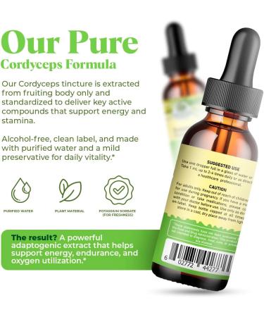 Amazing Botanicals Lemongrass Tincture Organic Cymbopogon Citratus Extract Liquid Natural Herbal Supplement for Wellness 30ml (1oz) 1 Fl Oz (Pack of 1) - Buy Online on GoSupps.com