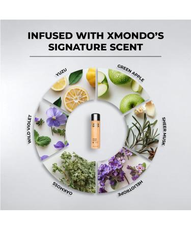 XMONDO Wavetech Wave Shampoo | Vegan Formula with Sunflower & Grape Seed Oil | Hydrating, Frizz-Taming Shampoo for Wavy Hair - 8 fl oz - Buy Online on GoSupps.com