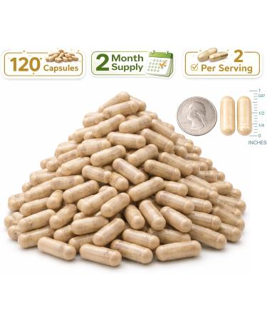 Lion s Mane Supplement Capsules 1000mg Organic Mushroom Complex with Alpha GPC Daily Wellness & General Vitality Support Vegan Non-GMO Gluten-Free Melena de Le n Org nico 120 Capsules 120 Count (Pack of 1) Unsce  - Buy Online on GoSupps.com