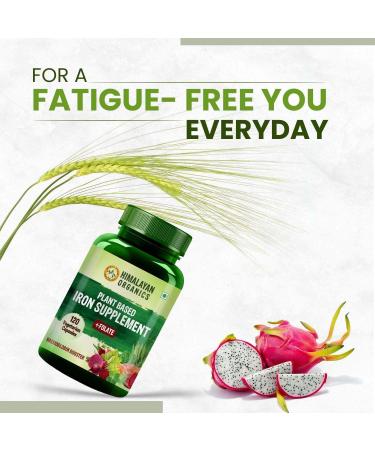 Generic Plant Based Iron Supplement with Folate | Improved Hemoglobin & Oxygen Capacity | Stomach Friendly | Boost Energy - 120 Veg Capsules - Buy Online on GoSupps.com