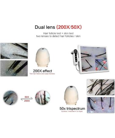Analyseur de peau et de cheveux d tecteur de cuir chevelu avec cran de 4 zones testeur d'huile et d'humidit du follicule pileux objectif 50 /200  - Buy Online on GoSupps.com