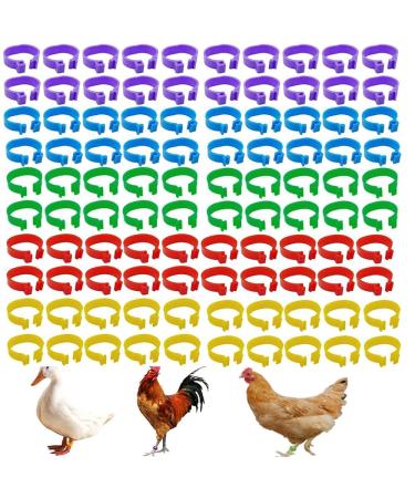 Armastuse Chicken Leg Rings 100 Chicken Clip On Leg RingsChicken Leg Marker Clip Plastic Poultry Bird Leg Ring Used for Poultry Chickens Ducks Geese Hens Parrots and Birds(20 mm)