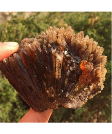 Gemstones and Crystals 50-400g Natural Yellow Amber Calcite Raw Stone Crystal Gem Collection of Rough Rock Specimens Home Decor QINTINYIN Stone Mineral Specimen (Color : 250-270g) - Buy Online on GoSupps.com