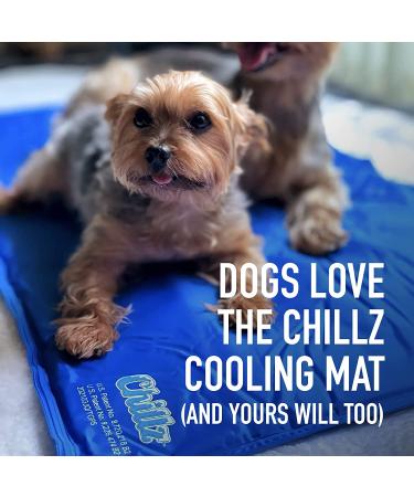 Chillz Dog Cooling Mat - Pressure Activated Gel Pad for Dogs & Cats - Non-Toxic, No Water Needed - Ideal for Home, Travel, Crates - Large Blue - Buy Online on GoSupps.com