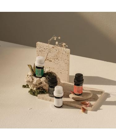 Dionel Secret Love Black Edition inner perfume fragrance oil for underwear women Long-lasting feminine romantic floral scent 5ml 0.17fl.oz Black edition 0.17 Fl Oz (Pack of 1) - Buy Online on GoSupps.com