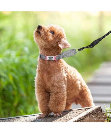 Personalized Pink Dog Tags - 2 Pack Engraved ID for Small & Medium Breeds | Tagme - Buy Online on GoSupps.com