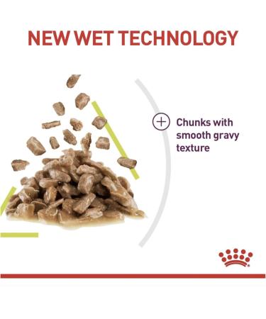 Royal Canin Sensory Smell in Gravy Wet Cat Food (12 x 85g) - Buy Online on GoSupps.com