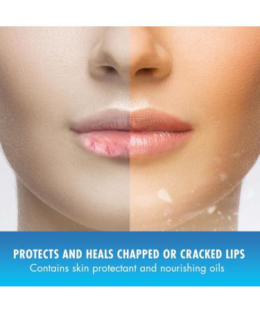 Mentholatum Natural Ice Protect+ Broad Spectrum SPF 30 Medicated Lip Balm 0.15 Ounce (Pack of 3) - Buy Online on GoSupps.com