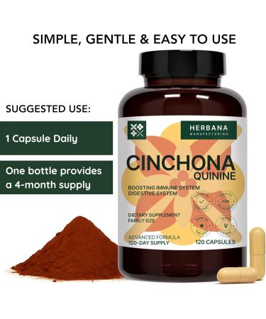 HERBANA MANUFACTURING Quinine Cinchona 120 Capsules Natural Supplement for Leg Cramps Instant Relief & Digestive Health Support Cinchona Officinalis Bark High Potency - Buy Online on GoSupps.com