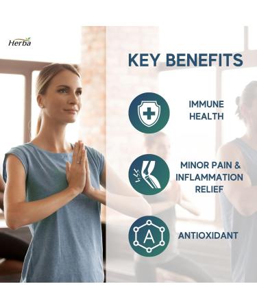 Herba Quercetin with Bromelain Zinc and Copper 180 Capsules | Quercetin Supplement for Immune Support | Help Relieve Swelling and Inflammation | Made in Canada - Buy Online on GoSupps.com