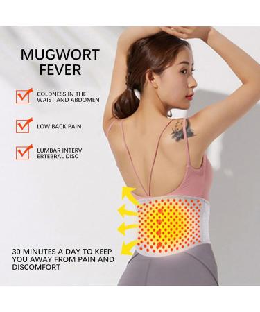 Self-Heating Back Support Belt - Comfortable Lumbar Support & Breathable Hip Belt for Pain Relief | International Shipping Available - Buy Online on GoSupps.com