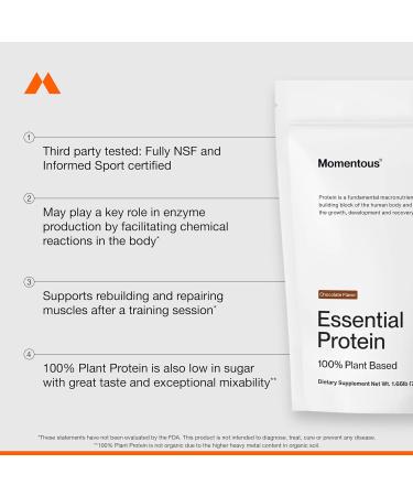 Momentous Essential Plant-Based Pea and Rice Protein Powder - Vegan, Gluten-Free, Non-GMO, NSF Certified - Chocolate Flavor for All Day Use (Bag) - Men and Women - Buy Online on GoSupps.com